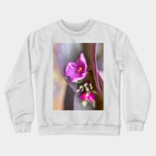 Macro Purple Crewneck Sweatshirt